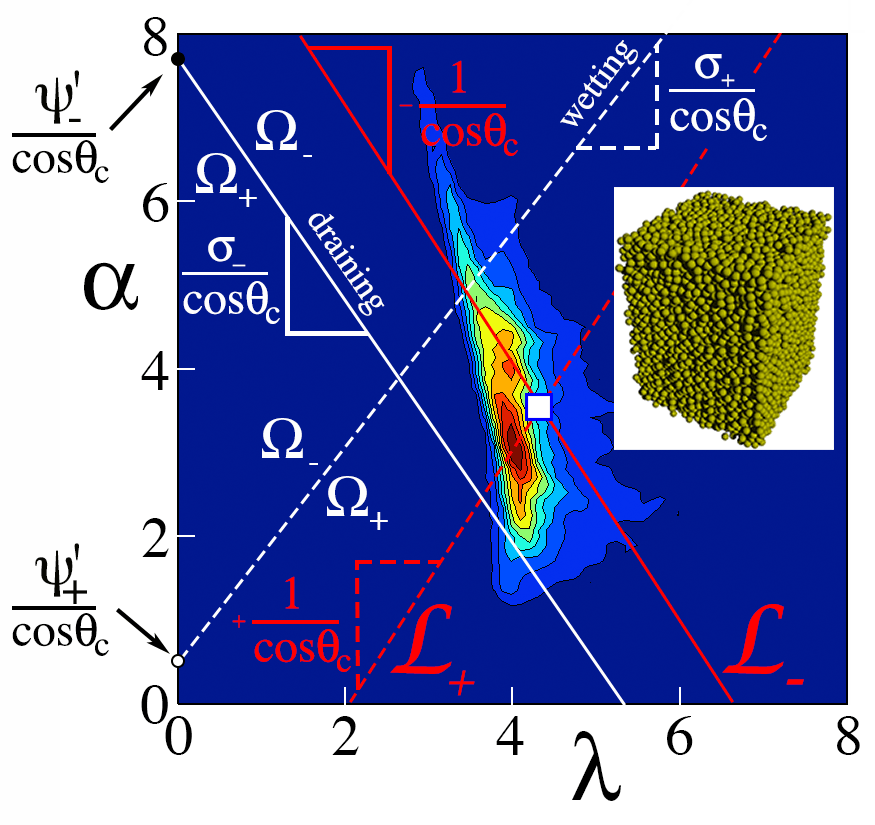 distribution