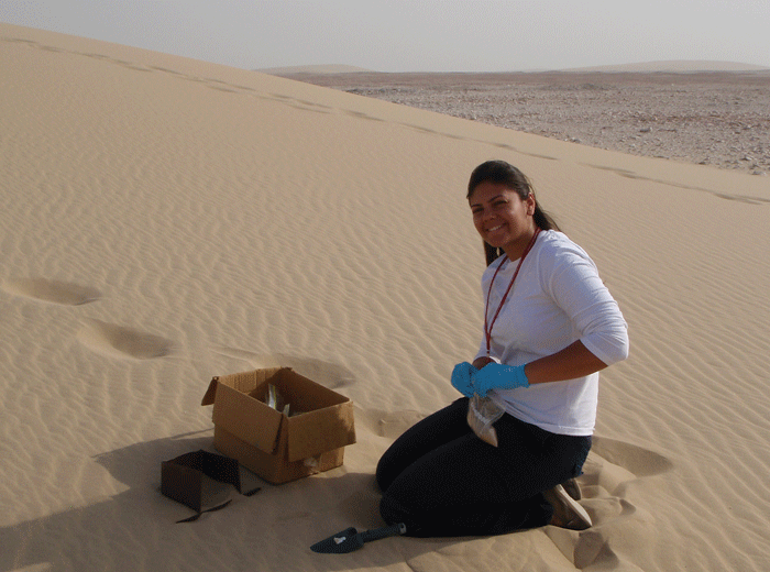 Sara samples dune
