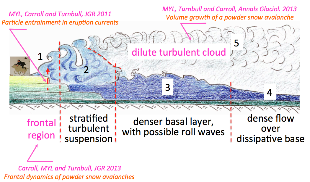 Structure of a powder snow avalanche