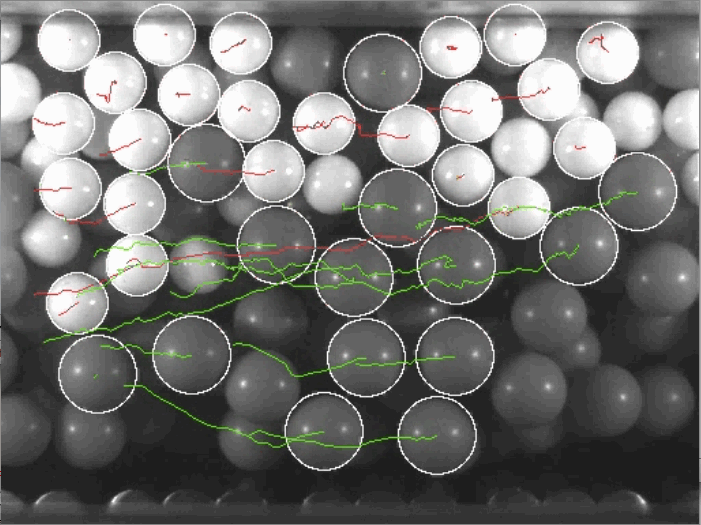 axisymmetric shear cell tracking