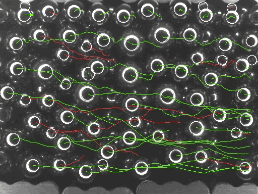 ring light tracking