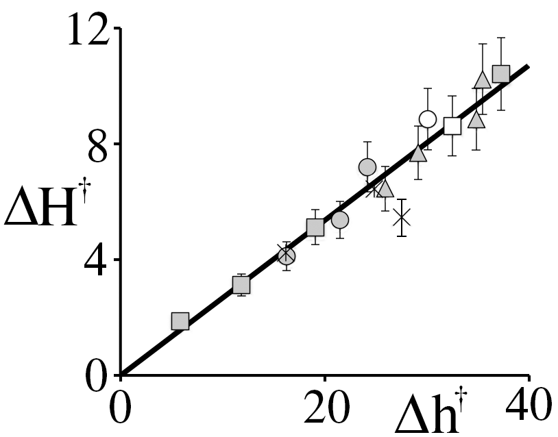 HoldUp versus flow height