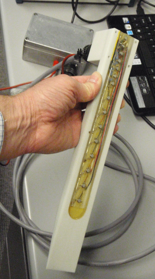 Temperature probe